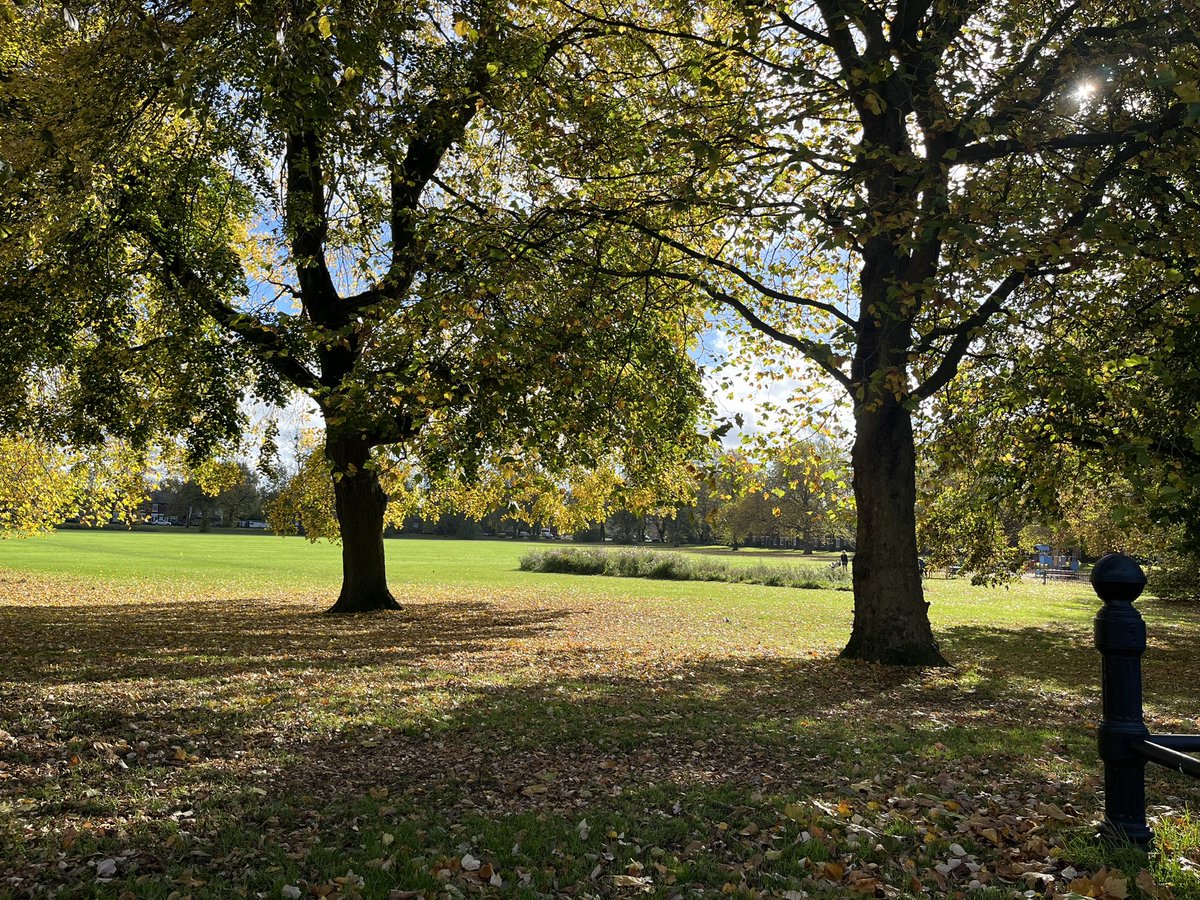 derby_parks's tweet photo. The identifiable layout of Chester Green, this design has been adopted throughout many cities worldwide giving a sense of natural formality.
We love trees on parks, especially at this time of year ๐ ๐ณ
#treestreestrees #LoveParks https://t.co/aGYuKiiBmU