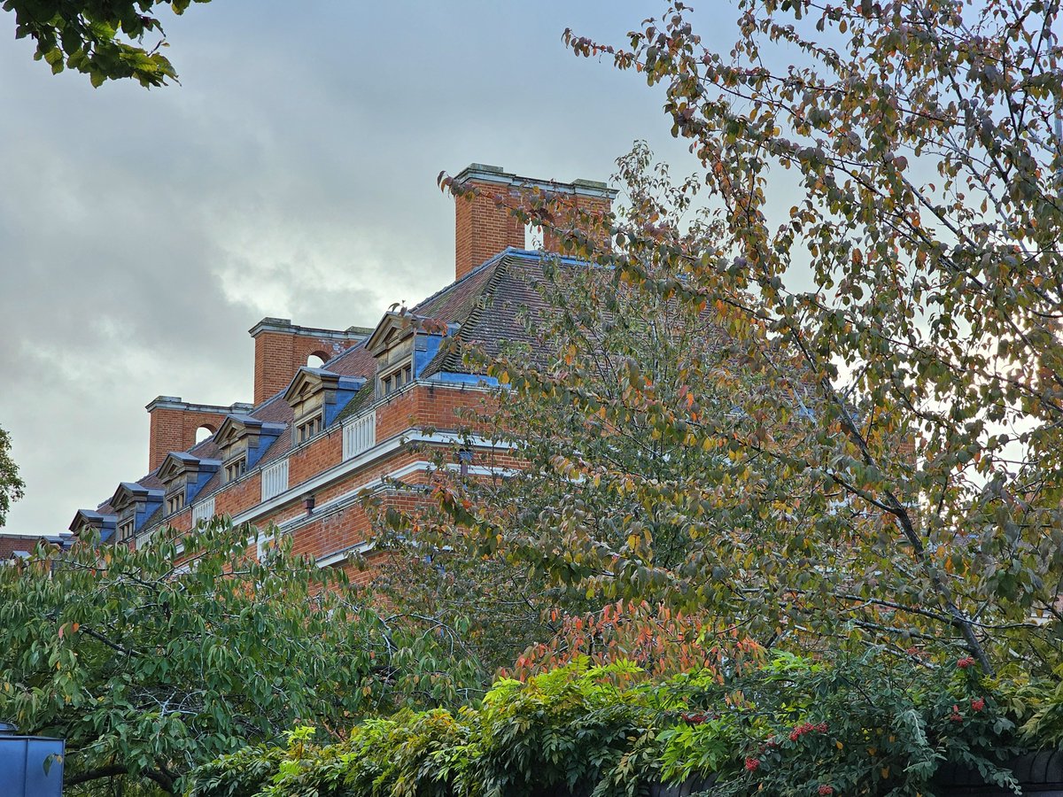 a dramatic autumn afternoon at <a href="/Selwyn1882/">Selwyn College</a>