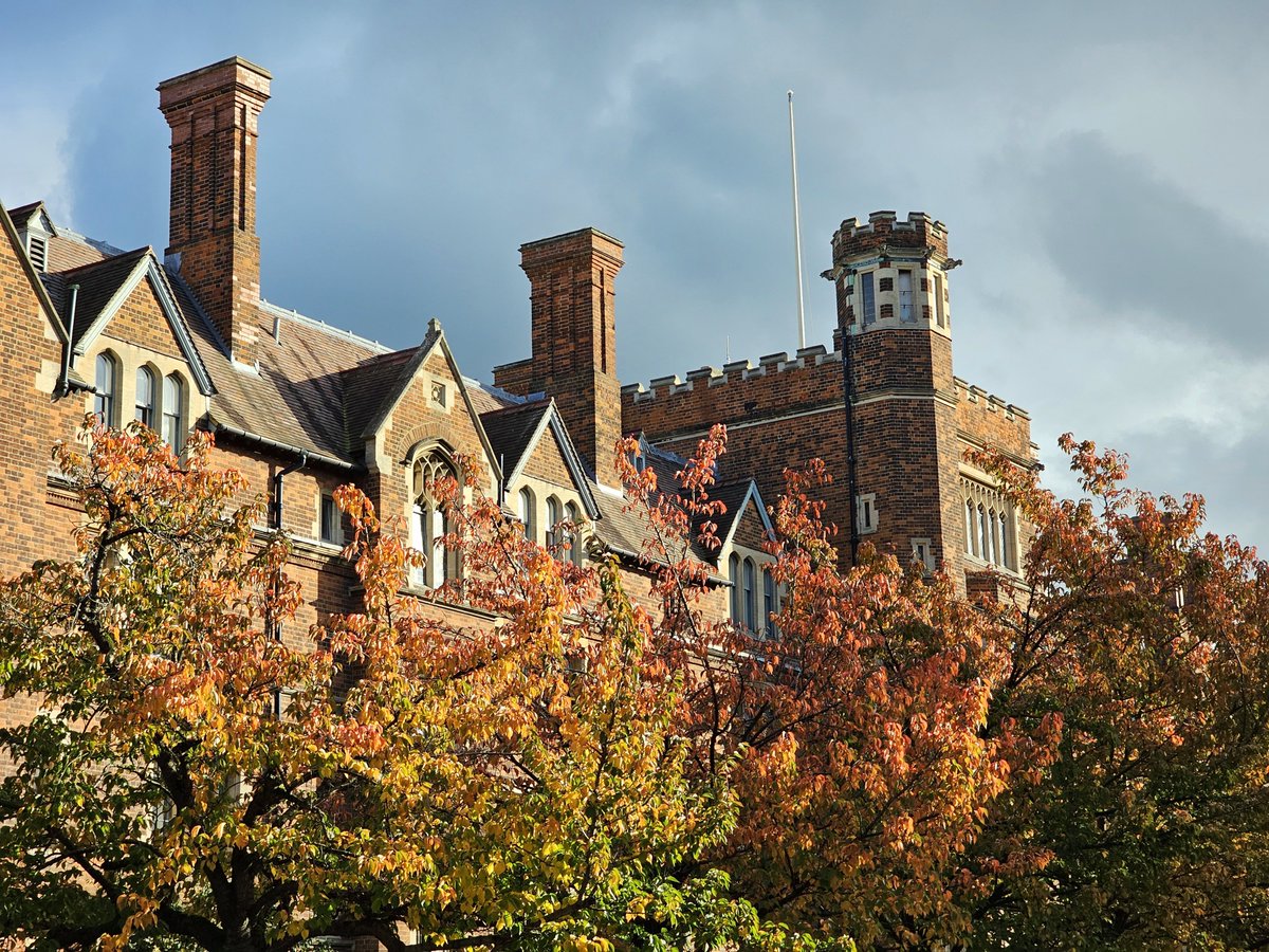 Thisath tweet media