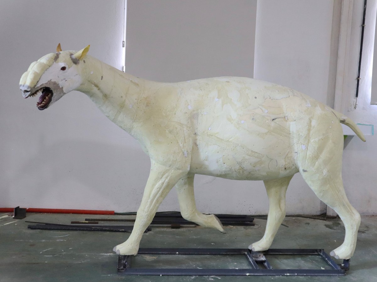 Our young Macrauchenia sculpture is ready for hairwork .
Instead of a classic representation with a trunk, I opted for a reconstruction with a globose nose.
#paleoart #paleoartist #extinctanimals #paleosculpture #sculpture #Macrauchenia #Pleistocene #Fossilmammal