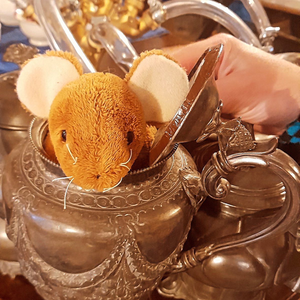 sneak preview of our little musical dormouse in advance of our Spring Tour 2025 #thealiceproject2025
#AliceInWonderland #ComingSoon #touringuk
#stillbooking #surreal
#storytelling
#gigtheatre