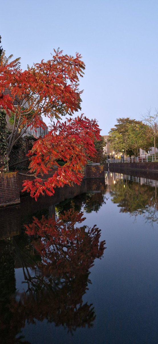 serolf's tweet image. #Herfstkleuren