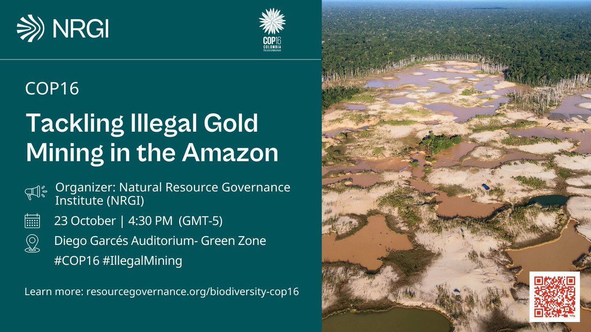Attending #COP16? Join NRGI and regional experts tomorrow at the event “Tackling Illegal Gold Mining in the Amazon” to explore the impact of illegal mining and discuss solutions for governments, businesses and civil society organizations.

Learn more: resourcegovernance.org/events/tacklin…