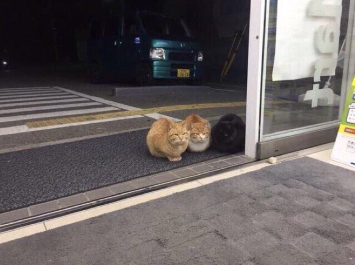 Gekikawa_Dbts's tweet image. コンビニに現れたヤンキー集団