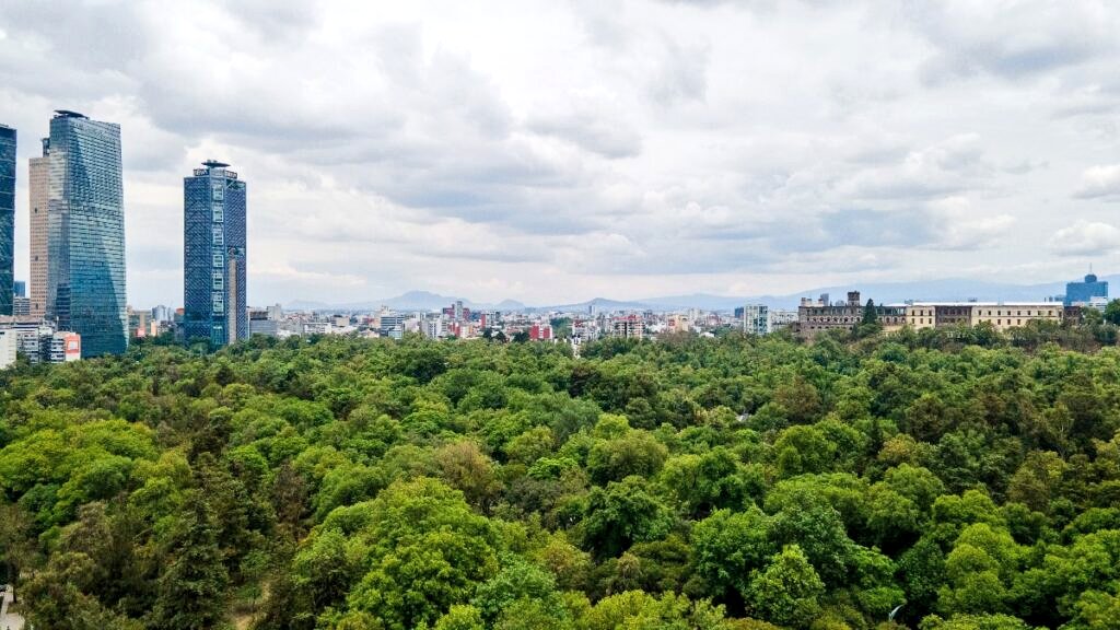 🚨OJO: ¿Sabían que el PAN junto con el PODER JUDICIAL quieren PRIVATIZAR gran parte del Bosque de Chapultepec para poner más complejos departamentales?

¡Más departamentos a costa de la naturaleza!

¿Dónde está <a href="/EugenioDerbez/">Eugenio Derbez</a>, <a href="/lafourcade/">Natalia Lafourcade</a>, #RubenAlbarra?

Ah ya, que cuando el PAN