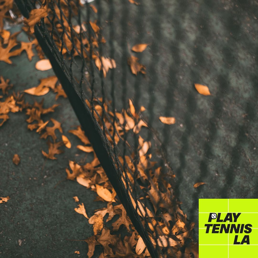 PlayTennisLA's tweet photo. The leaves are turning colors but tennis balls are green as ever. 

Find open courts and nearby hitting partners for free at https://t.co/ujlrpze2mT

#TennisLosAngeles #tennis #tennisplayer #tennistime #tennislife #losangeles #playtennis #glendale #burbank #studiocity #tennislove https://t.co/PJ18gcmn2n