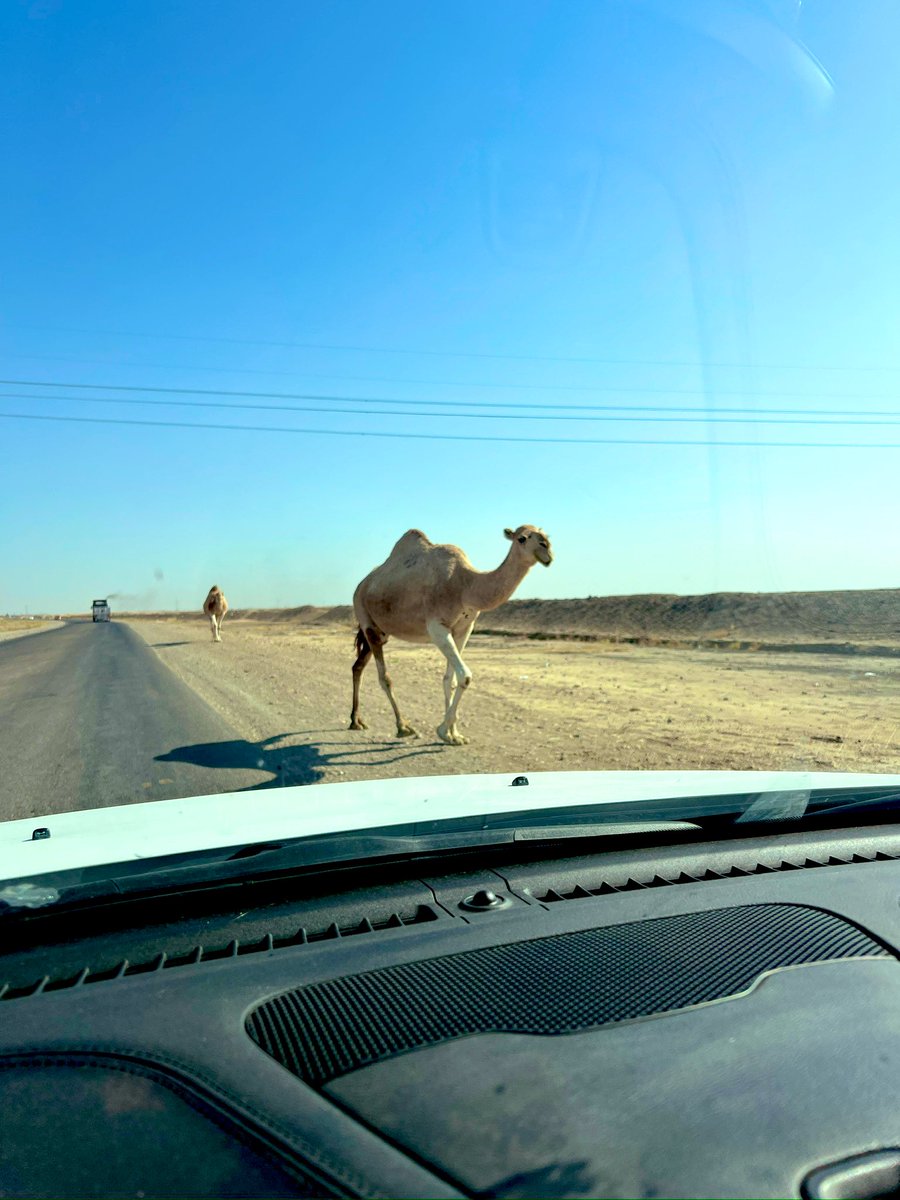 ابوالطيب الجميلي tweet media