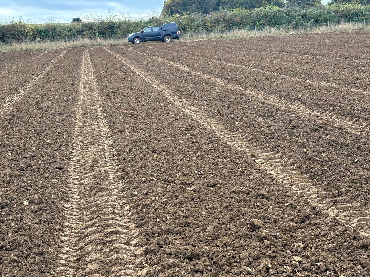 Ajay_Siluveru8's tweet photo. "Today, I joined the team for a visit to the field to observe the wheat drilling process. The wheat drilling (sowing) was in full swing at the JIC field station. Thank you very much to the field team for your hard work.
#Wheat #Plantbreeding
#wheatgenetics #Plantscience https://t.co/hlXannIVt9