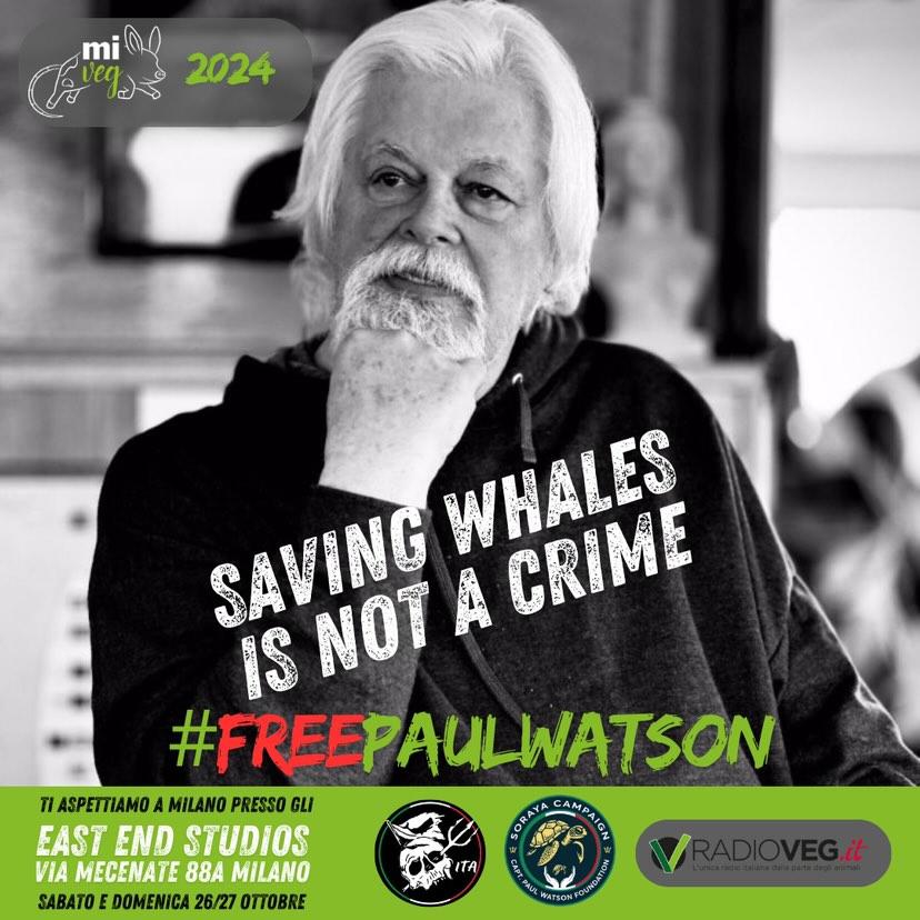 SciandriMeg's tweet photo. #FreePaulWatson #NoJapanExtradition #Denmark #Japan #Tokyo #Danimarca #Giappone #MiVeg #Milano #CpwfItalia https://t.co/IAuzeFe2YG