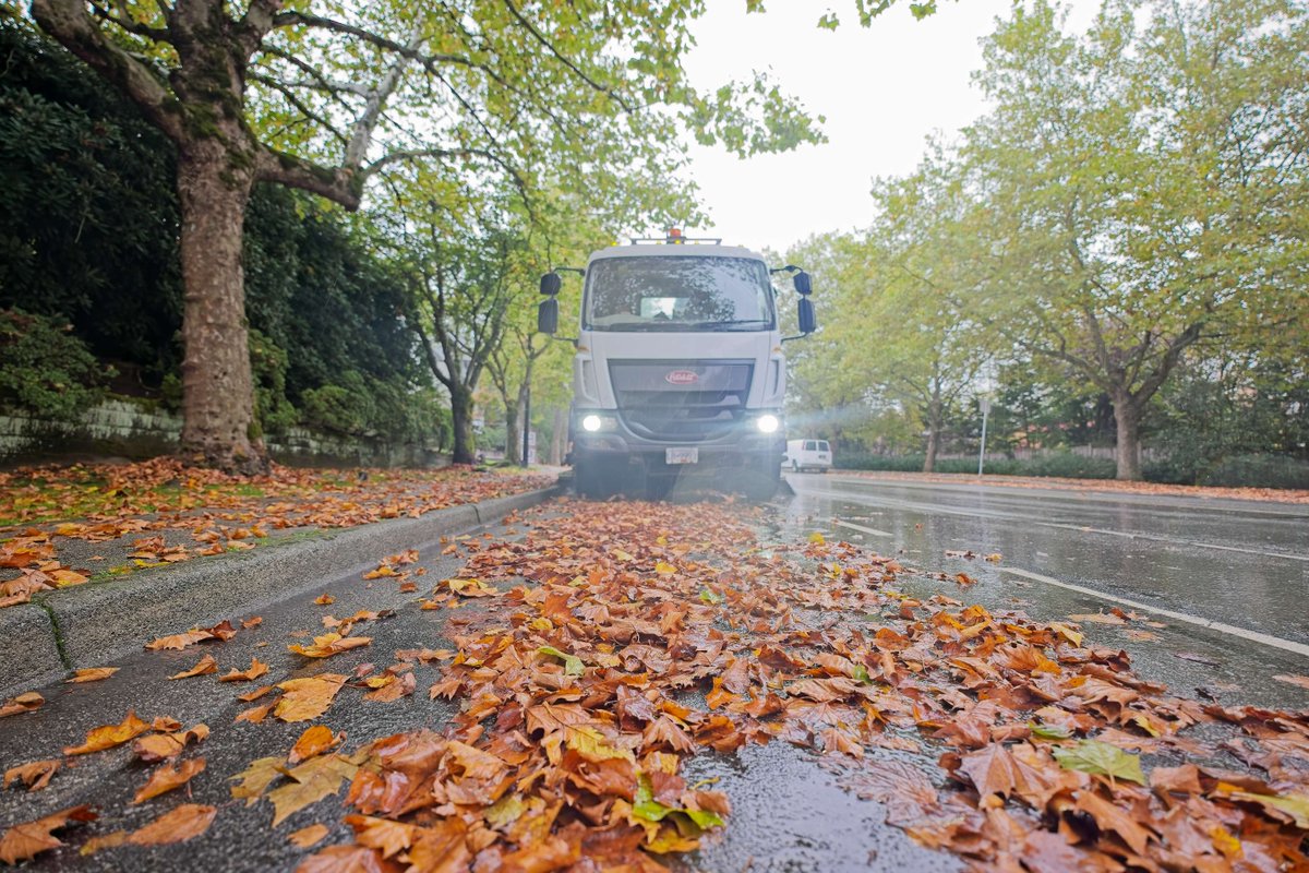 YourMapleRidge's tweet image. 🍂Crews are out clearing storm drains to keep water flowing &amp;amp; debris from parks/trails. Help prevent water pooling by clearing catch basins near you.

📱 Report debris/fallen trees: 604-463-9581 or mapleridge.ca/community-safe…

Thank you #MapleRidge!

#FallPrep #StormReady #CityAtWork