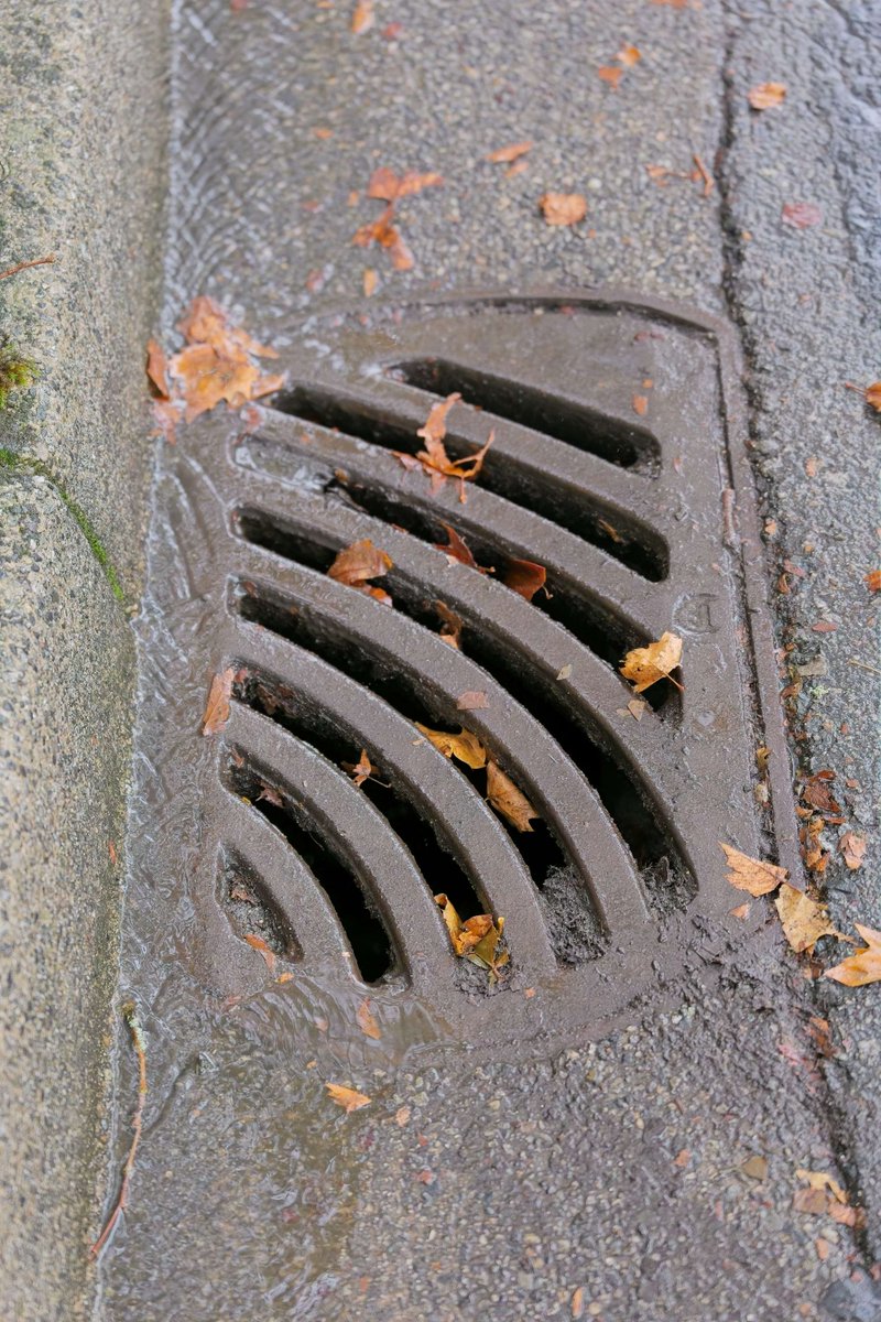 YourMapleRidge's tweet image. 🍂Crews are out clearing storm drains to keep water flowing &amp;amp; debris from parks/trails. Help prevent water pooling by clearing catch basins near you.

📱 Report debris/fallen trees: 604-463-9581 or mapleridge.ca/community-safe…

Thank you #MapleRidge!

#FallPrep #StormReady #CityAtWork
