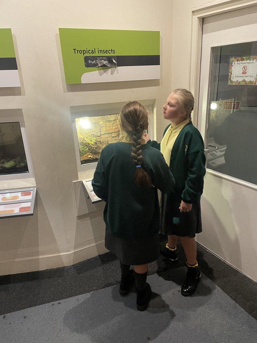 Miss O’Neill (@missoneill96) on Twitter photo 