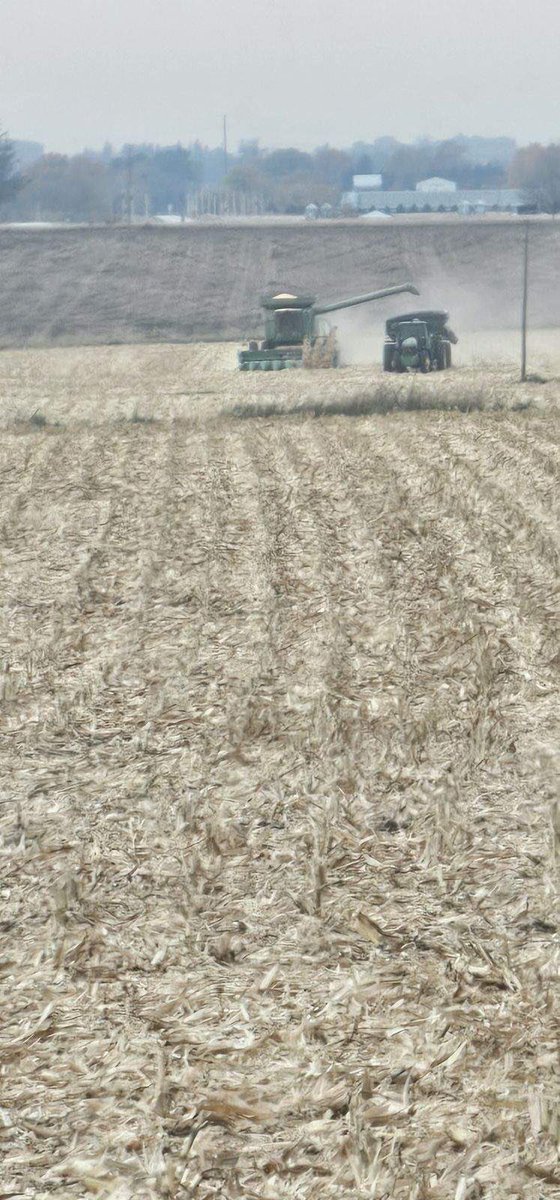 Matt Reed tweet media