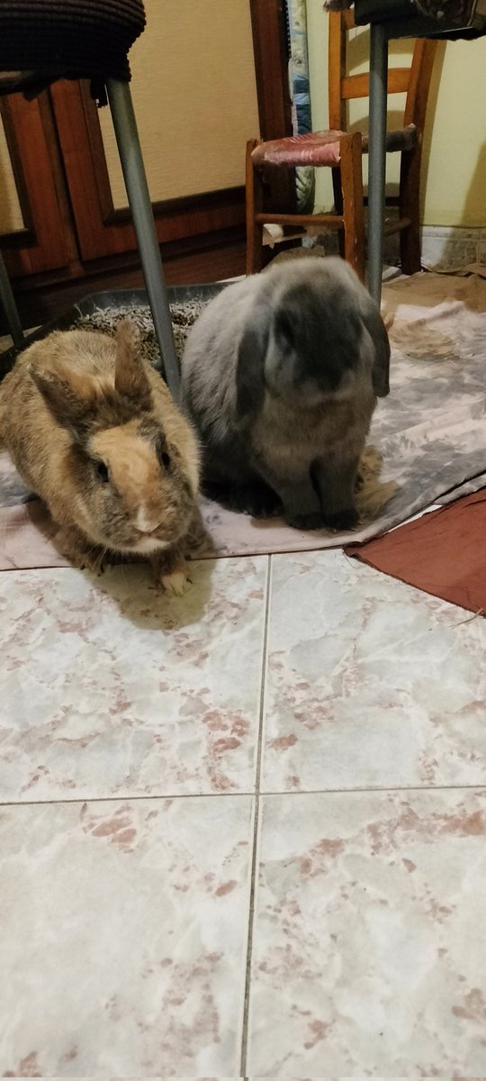 Waiting for our apple... Mummy, you're late!