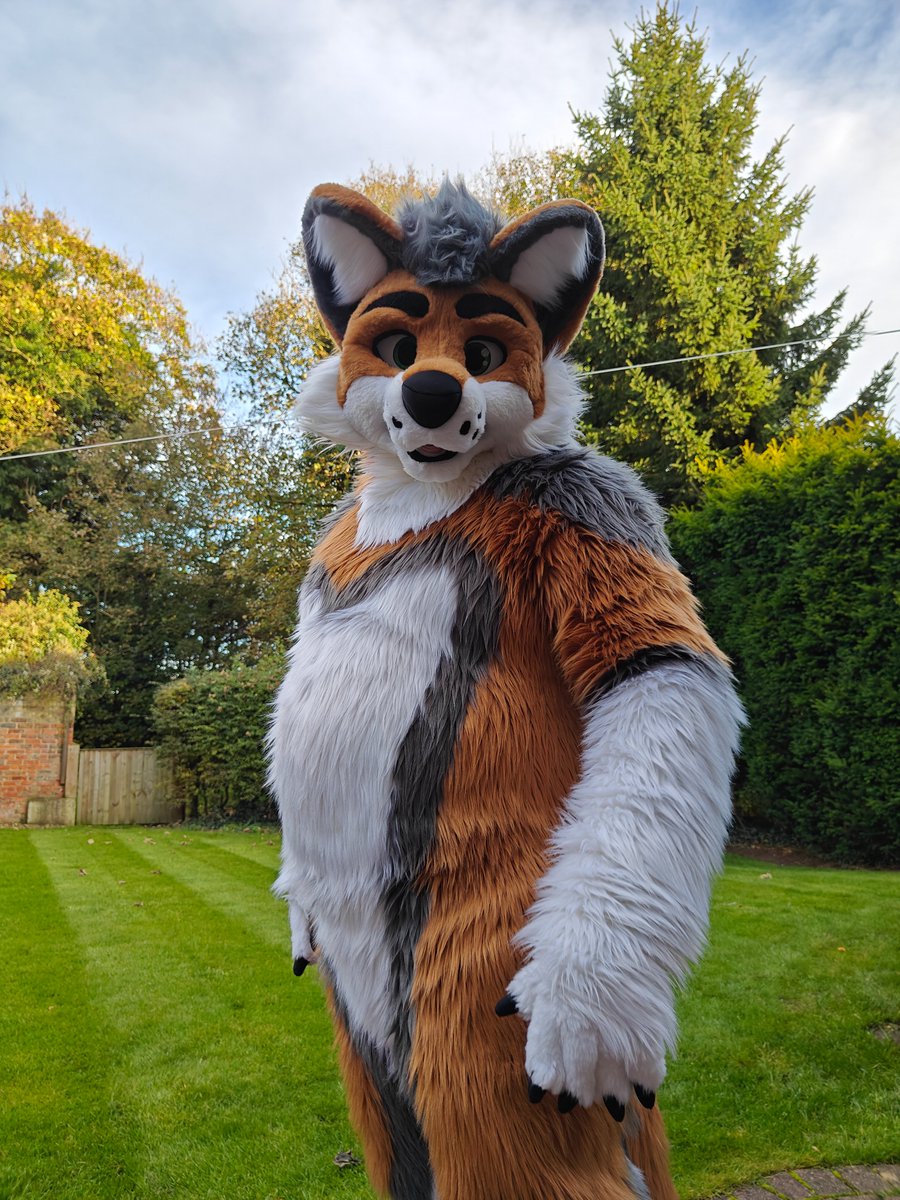 On the prowl... for snacks😏 #TummyTuesday

📷 <a href="/BlueNosedMutt/">M A R S H !</a>