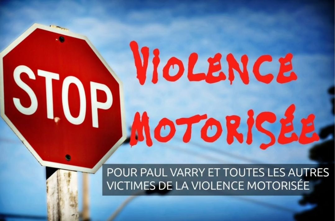 Dimanche les copaines de <a href="/VelorutionN/">Vélorution Nantes</a> organisent 

Une Vélorution en hommage à Paul et à toutes les victimes de violences motorisées.

Rdv : dimanche 27 octobre 14
Cours st Pierre à #Nantes
