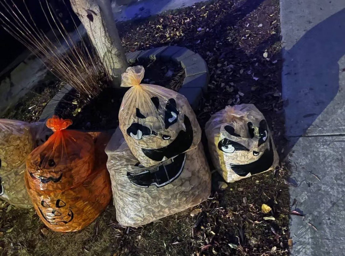 biketune2's tweet image. Halloween is coming! I saw a lot of cute things on the way home

Trick-or-treating!👻🎃