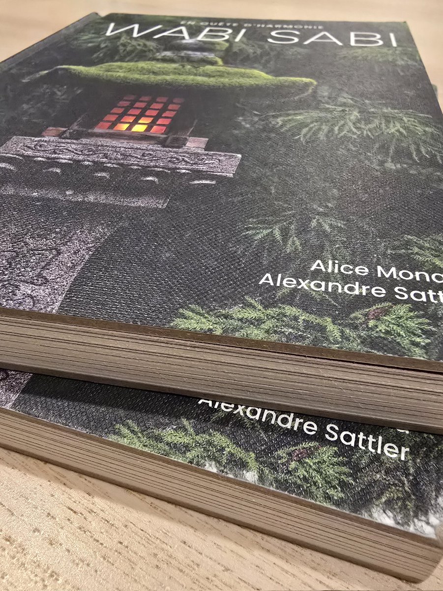 Voir le livre en papier, un grand bonheur ! En librairie le 8 novembre !