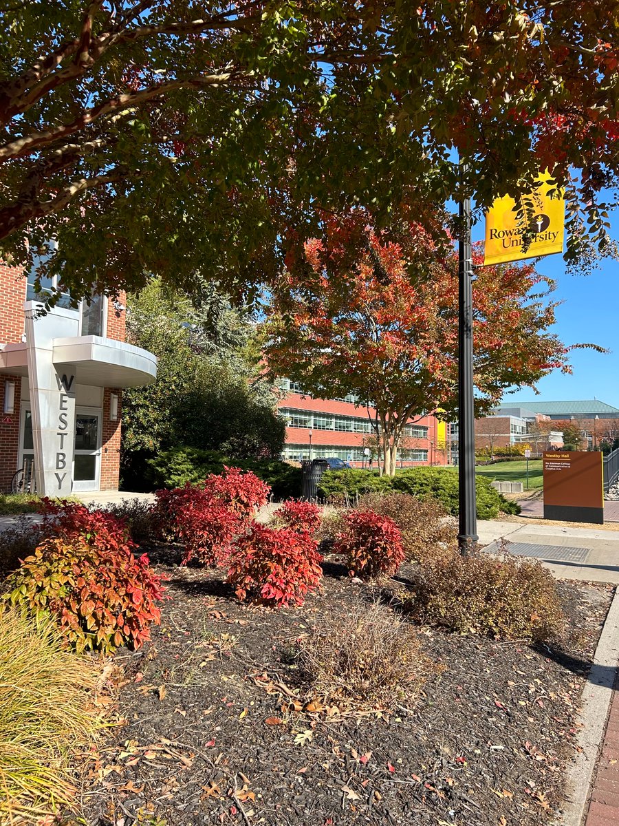 The fall foliage and vibes on campus are so beautiful 😍 🍁 (ignore that it's 80 degrees today...) 💛 🤎 #RowanUniversity #RowanCCCA #FallVibes #fallseason