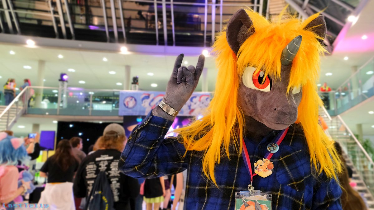 Ringo 🔜 Texas Furry Fiesta tweet media