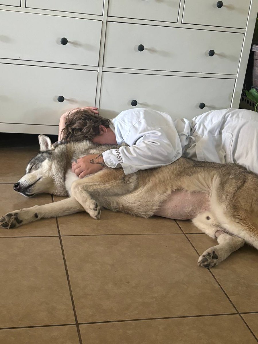 I've started a gofund me to help save kings life. We are both exhausted but thankful to everyone for their support as this is not easy. gofundme.com/f/cag94-suppor…
