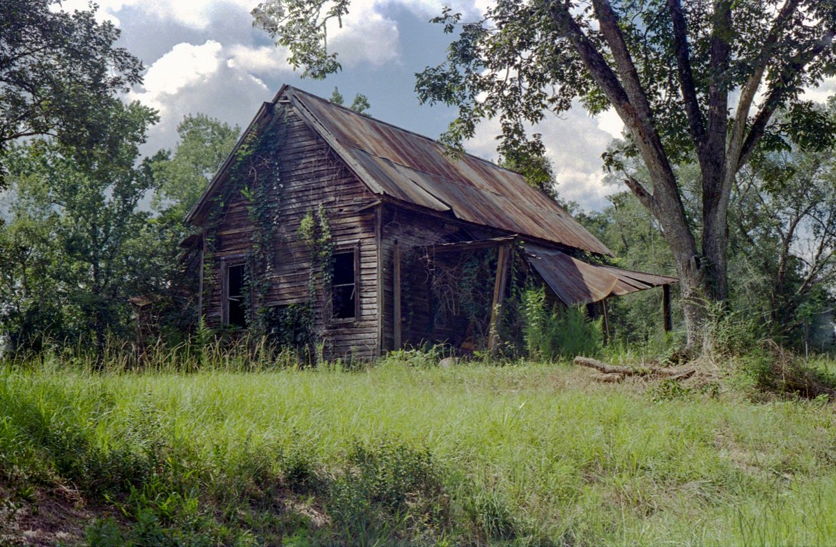 Johnny Walker Evans tweet media