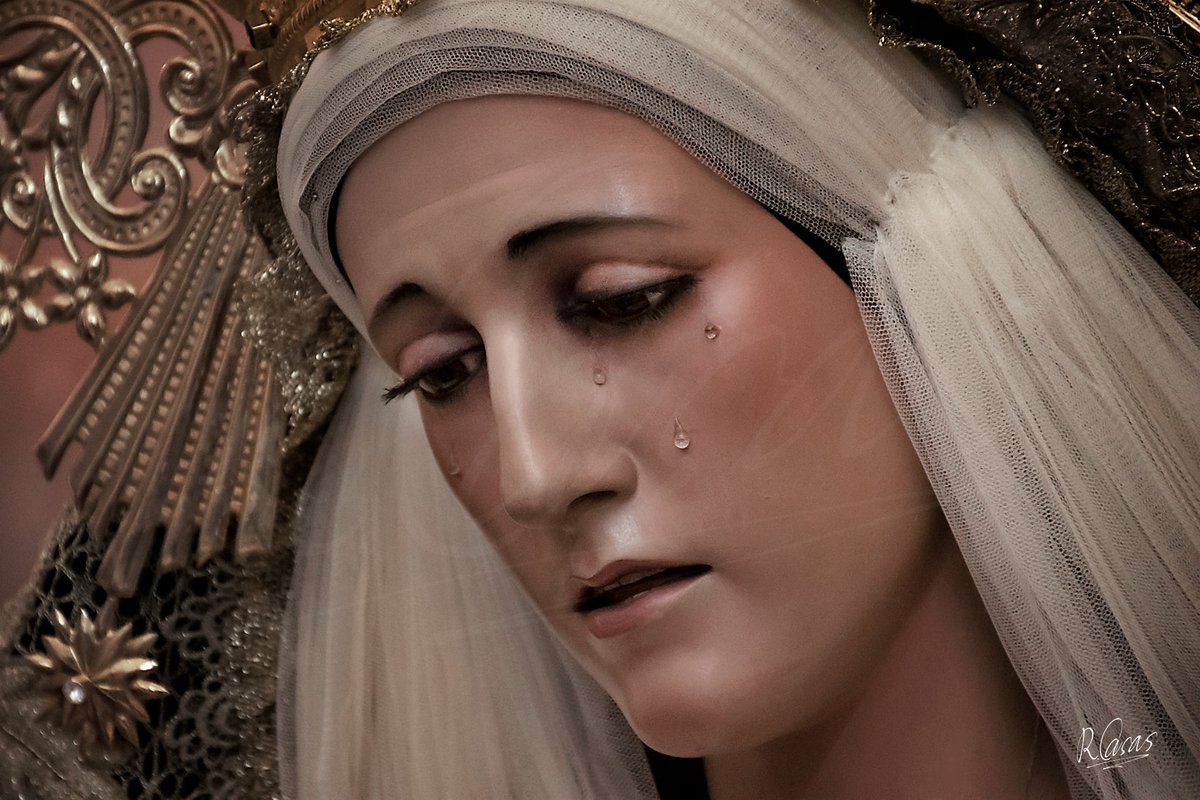 Luz de Vida, Esperanza Nuestra 💚

#CentenarioDeEsperanza2026