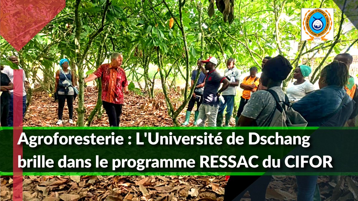 HindrichAssongo's tweet photo. Vidéo disponible en cliquant sur le lien ci-bas :
https://t.co/4vIX6p3o8m 

#UniversitéDschang #FacultéAgronomieSciencesAgricoles
 #Agroforesterie 
#ProgrammeRESSAC 
#LucieTEMGOUA https://t.co/81iy3dWHSm