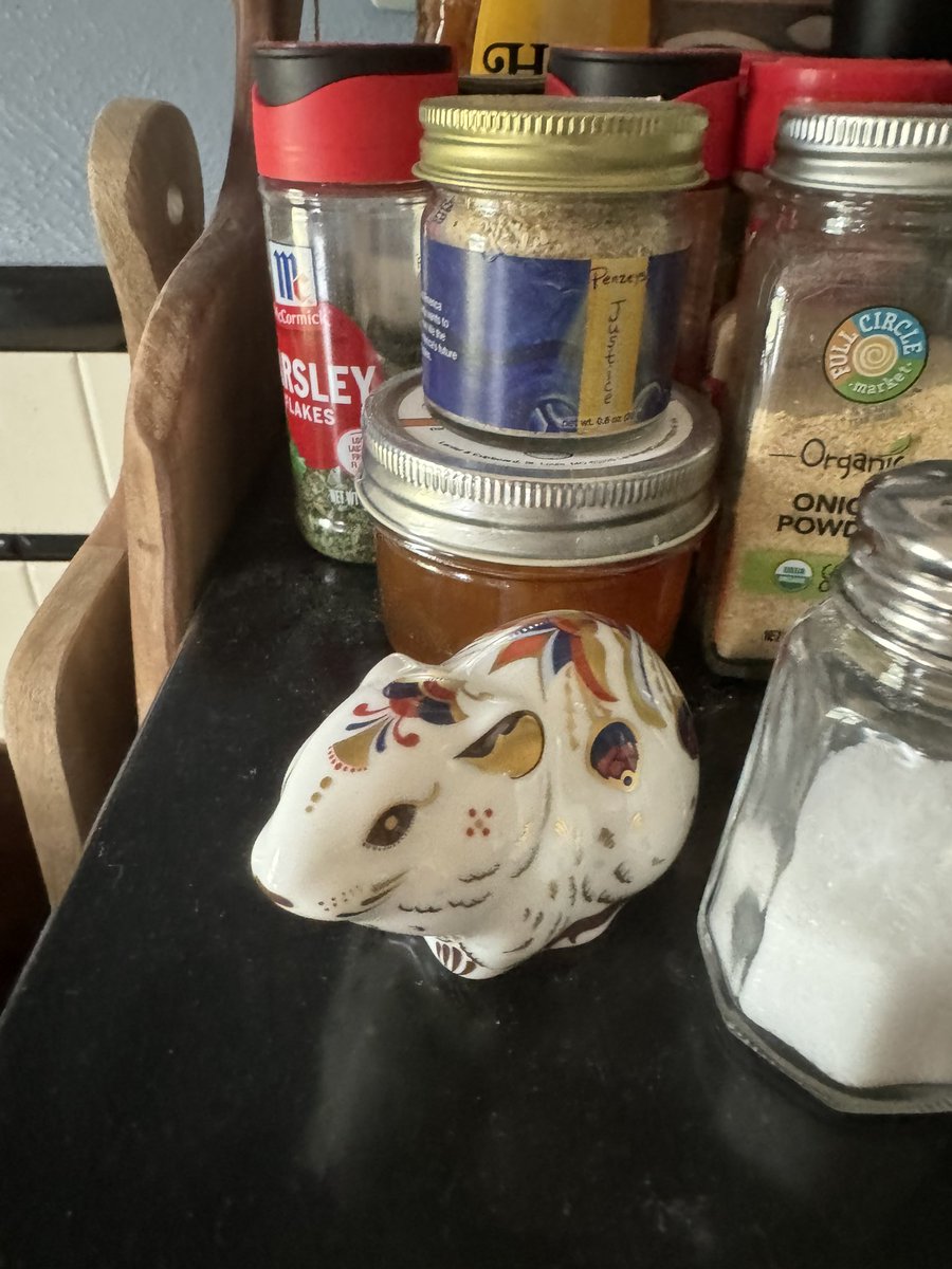 DFahnz's tweet image. @mrmikewozniak so my husband and I are having a debate and decided to turn to you, the expert

does this vole have too much chutzpah to be adequately undermined? #TaskmasterUK