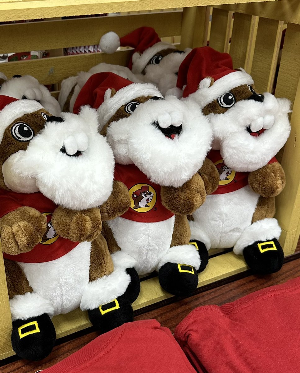 The only way to start a day in Texas! Breakfast at Buc-ee’s where I checked out the Christmas Buc-ee’s!