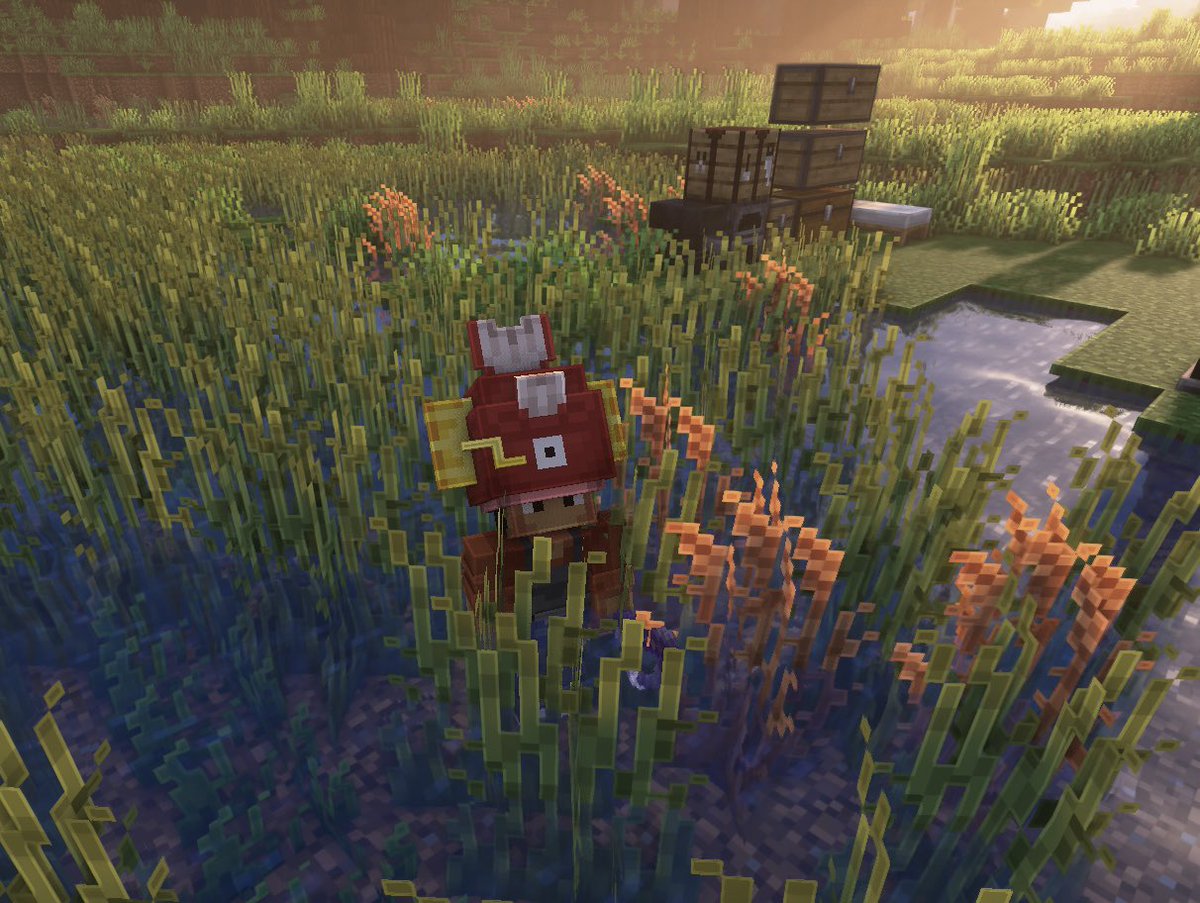 A wild Magikarp appeared!