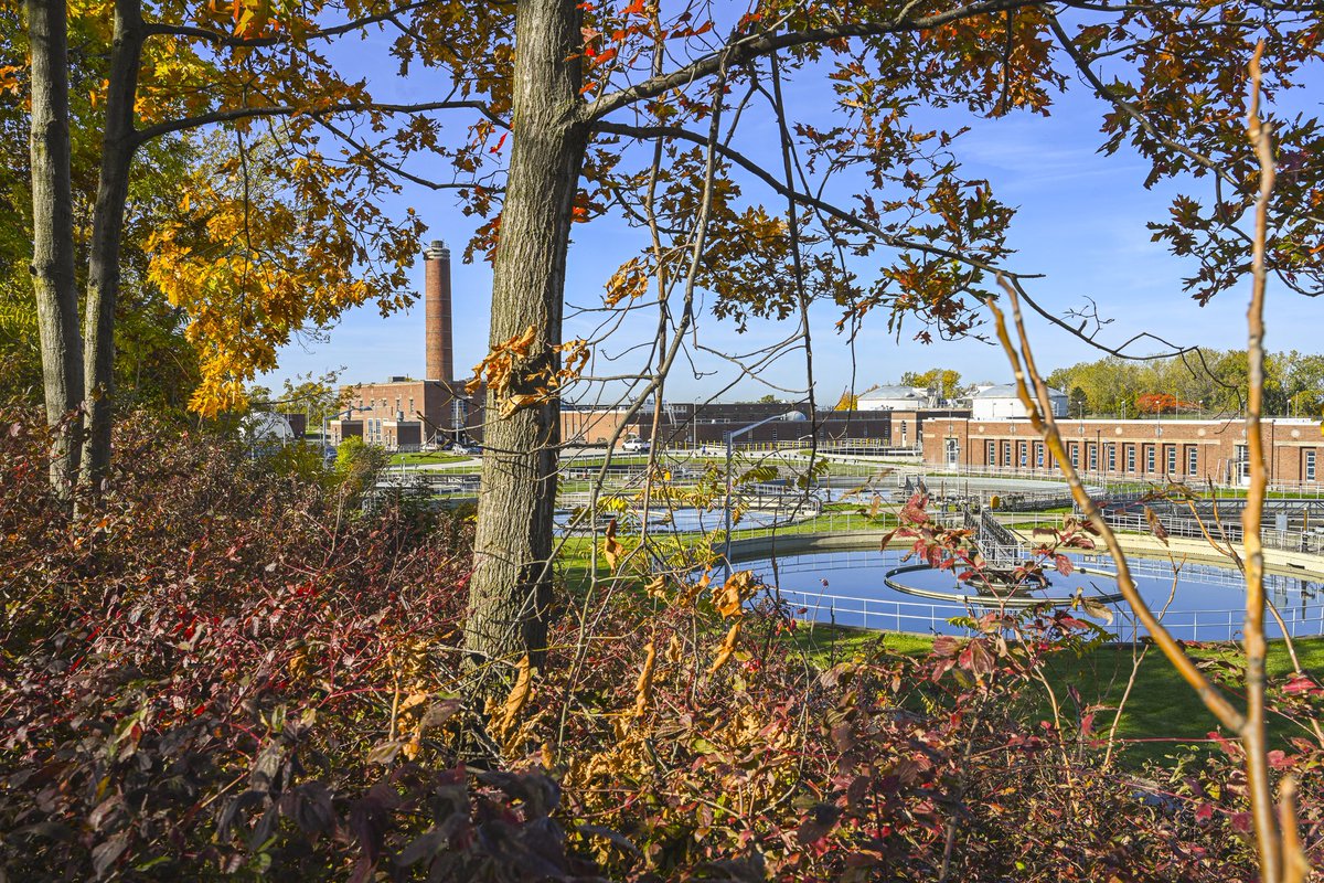 autumnal wastewater treatment 🍂