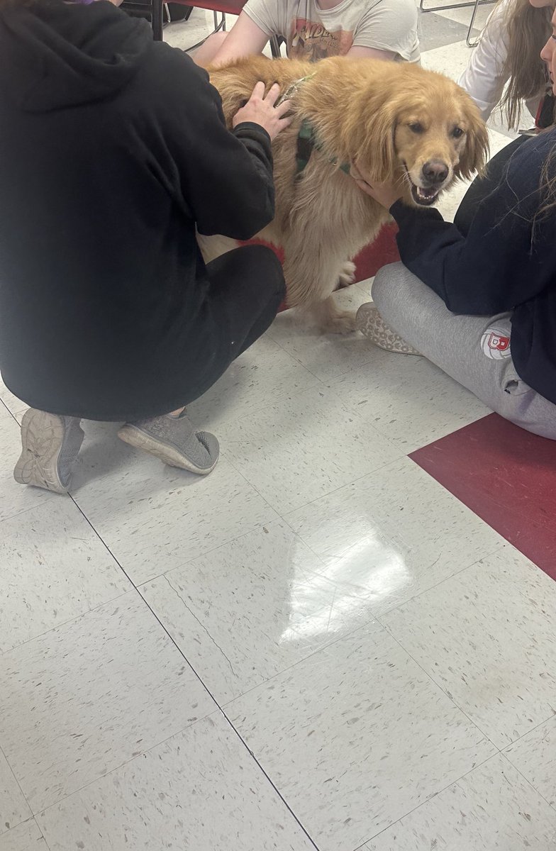 BHS Guidance (@bhsguidancedept) on Twitter photo We loved seeing George and Buddy today! Thanks, Creature Comfort! <a href="/ccpettherapy/">Creature Comfort</a> <a href="/BernardsHS/">Bernards High School</a> We loved seeing George and Buddy today! Thanks, Creature Comfort! <a href="/ccpettherapy/">Creature Comfort</a> <a href="/BernardsHS/">Bernards High School</a>