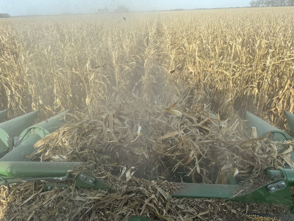 Mark McLean tweet media