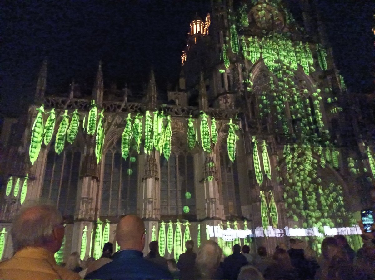 jufjent2's tweet photo. Bossche beeldenstorm. Mooie lichtprojectie op onze eigen Sint Jan. https://t.co/APJYSLldSv
