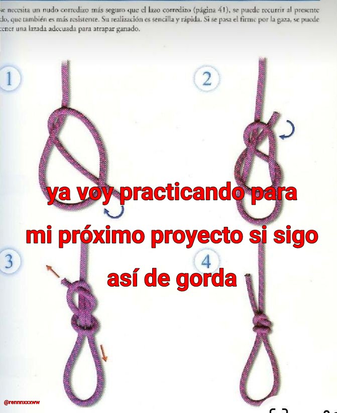 rennnxxxww's tweet image. 