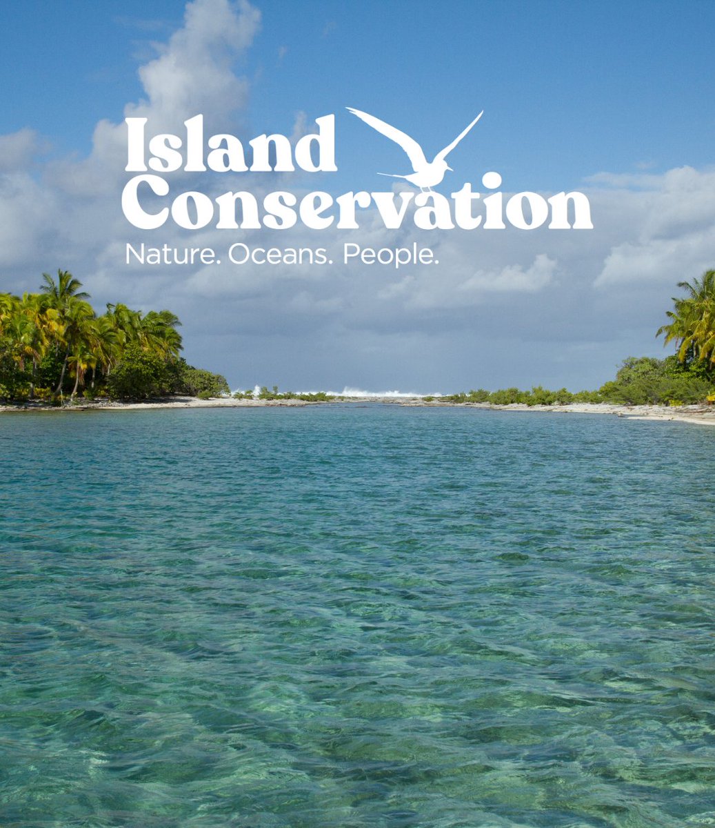 Island Conservation (@islandconserv) on Twitter photo New look, same values, maximum impact. Meet the updated Island Conservation.
Check out our refreshed website here >> 
islandconservation.org New look, same values, maximum impact. Meet the updated Island Conservation.
Check out our refreshed website here >> 
islandconservation.org