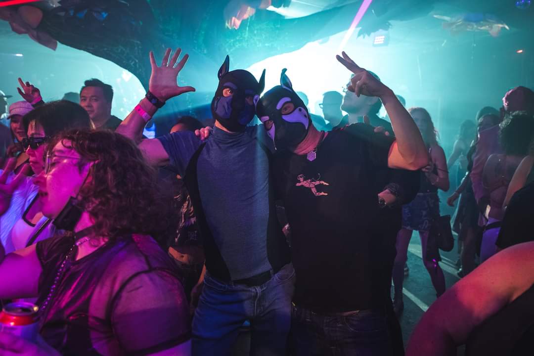 SpannerDog (@gogetemspanner) on Twitter photo When you're the only dogs at the rave, fuckn own it and dance twice as hard!
<a href="/PupGalen/">PupGalen@bsky.social 🔜 MIR, COG, EDCO</a> When you're the only dogs at the rave, fuckn own it and dance twice as hard!
<a href="/PupGalen/">PupGalen@bsky.social 🔜 MIR, COG, EDCO</a>