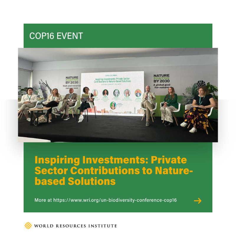 WorldResources's tweet photo. Today, WRI hosted an event at #COP16 that aimed to inspire innovative approaches for impactful investments into NBS. Here is a recap of the event👇

#COP16Colombia #COP16Cali #biodiversity #naturebasesolutions