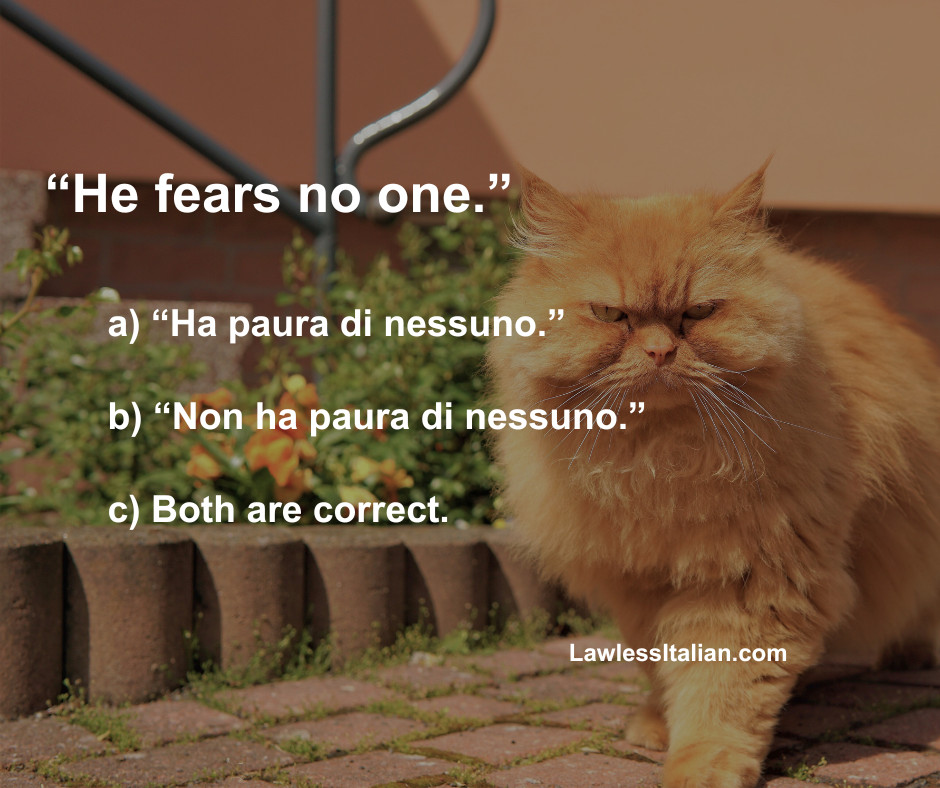 Qual è la risposta giusta? Mettiti alla prova! Share the correct answer here: lawl.es/italian-quizzes 

#Italian #italianquiz #Italianteacher #learnitalian #lawlessitalian #italiantest