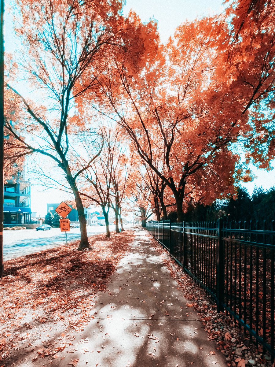 ItsBryanLP's tweet image. Utopia Autumn