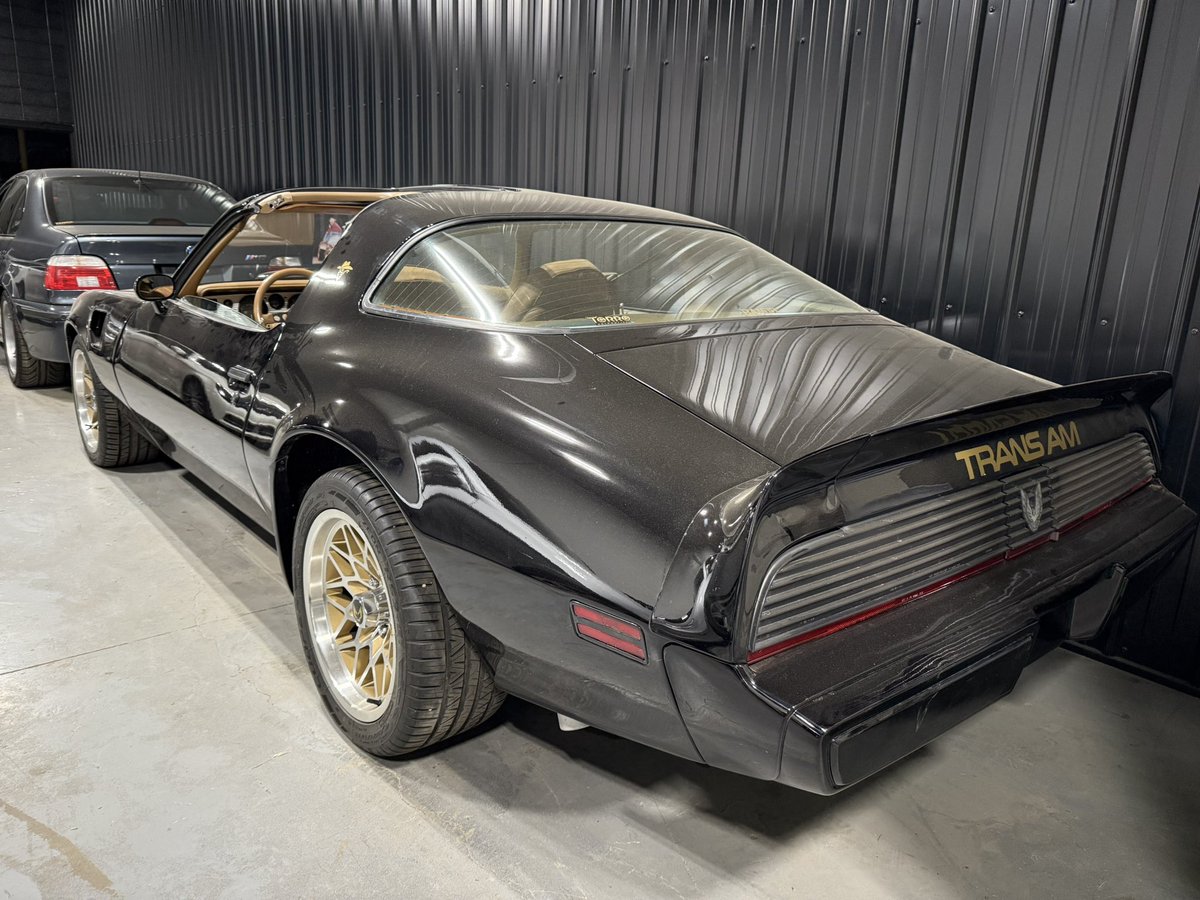 SmaielDanny's tweet image. Anyone else wanted one of these back in the day?
#79 #transam #bandit