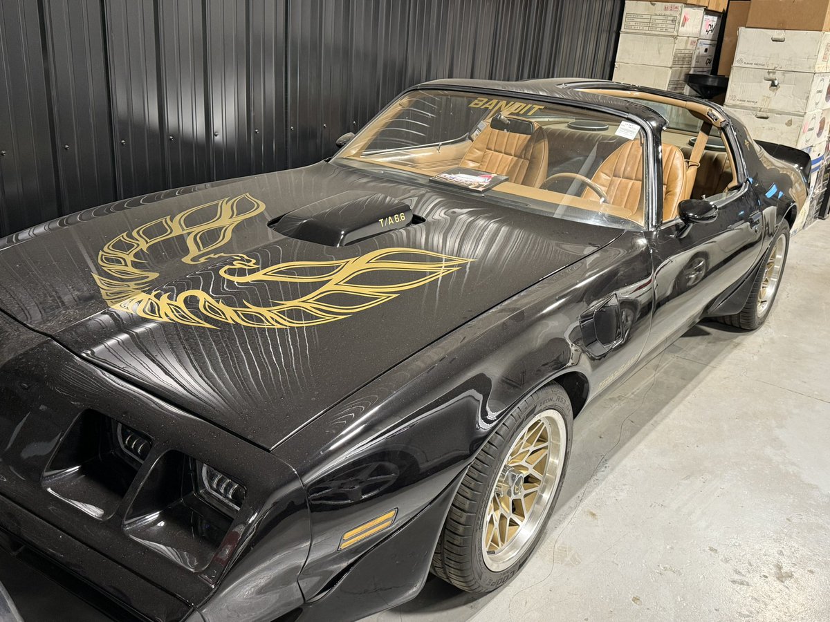 SmaielDanny's tweet image. Anyone else wanted one of these back in the day?
#79 #transam #bandit