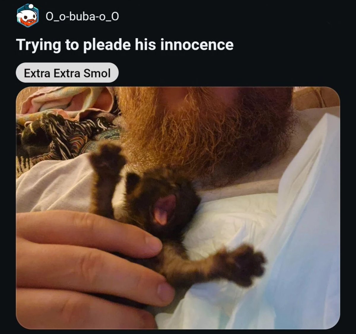 testing out brushes lol