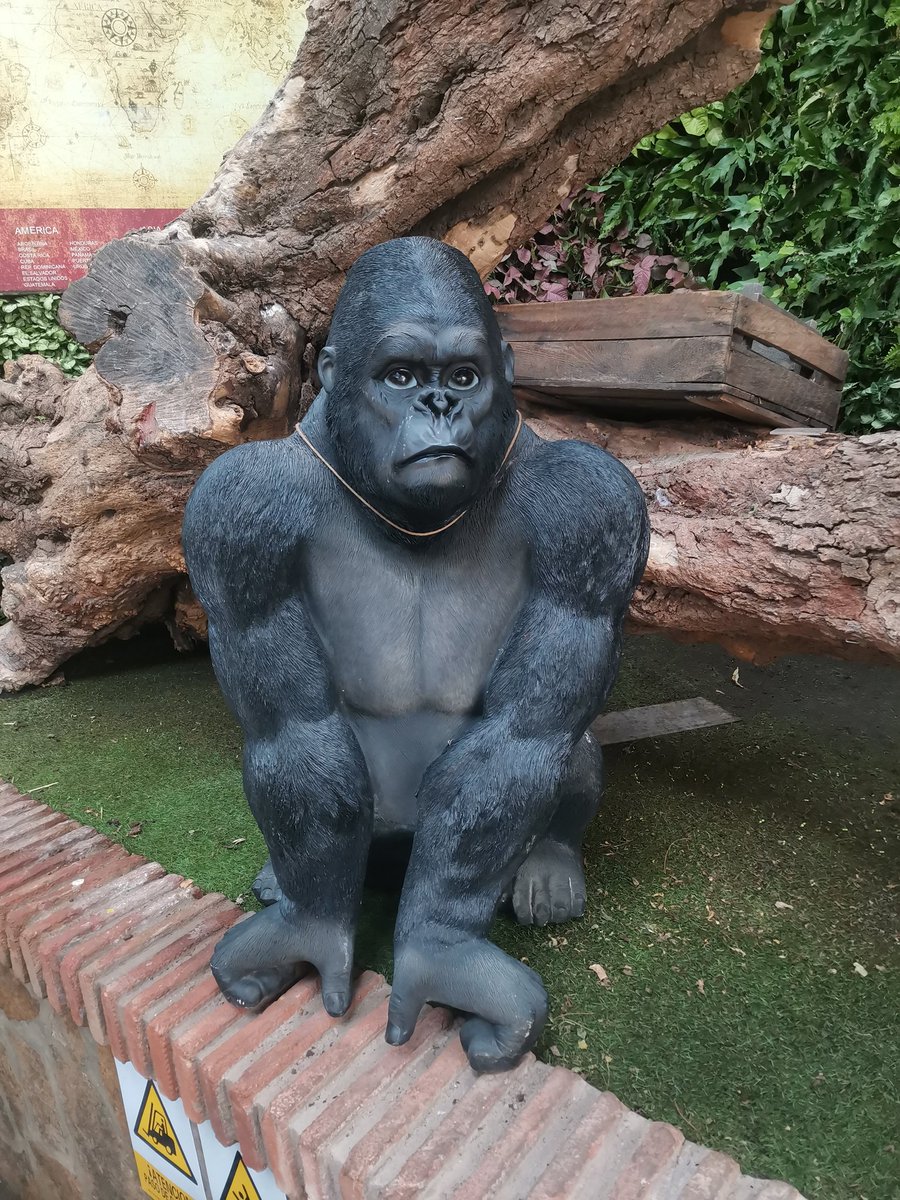 tryest11's tweet image. VINI JR BALON DE OROOOO