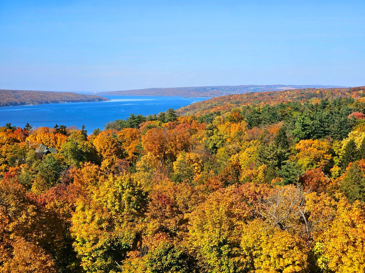 Cornell University tweet media
