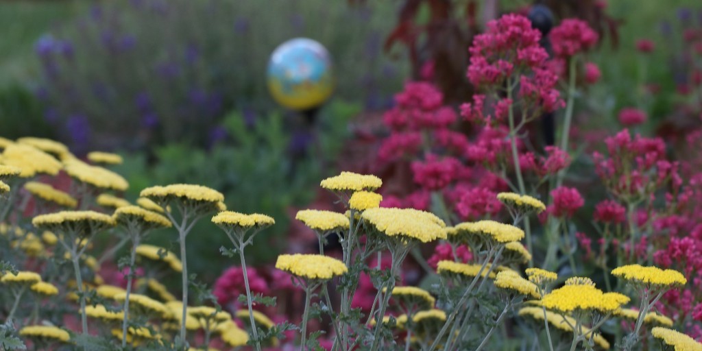 Scroll through that camera roll and share some of your favorite garden photos from this season! Enter our photo contest for a chance to win some great prizes!

Enter Here: ow.ly/nNQ550TQ1BB

Customer Photos by: Austin S., Patricia C., Randy J. and Teresa A.