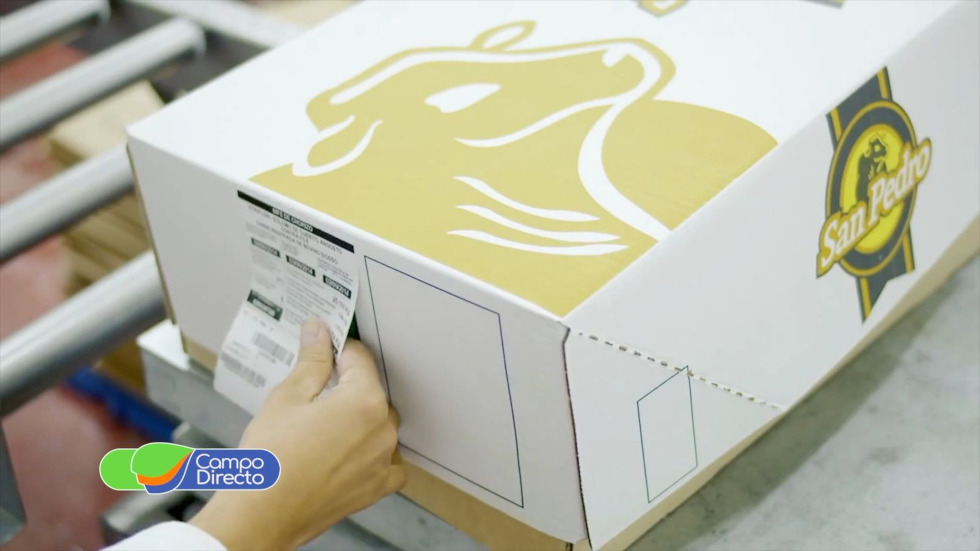 El volumen de carne embarcado en agosto fue el mayor en cuatro años. El año cerraría con envíos por un total de 920 toneladas.

<a href="/alerollan/">Alejandro Rollán</a>  <a href="/FIFRA_ARG/">FIFRA</a>   <a href="/consignacba/">Consignaciones Córdoba SA</a>   <a href="/MinAgriCba/">Ministerio de Bioagroindustria de Córdoba</a>   <a href="/Ibettini/">Iván Bettini</a> 
campodirecto.com.ar/exportaciones-…