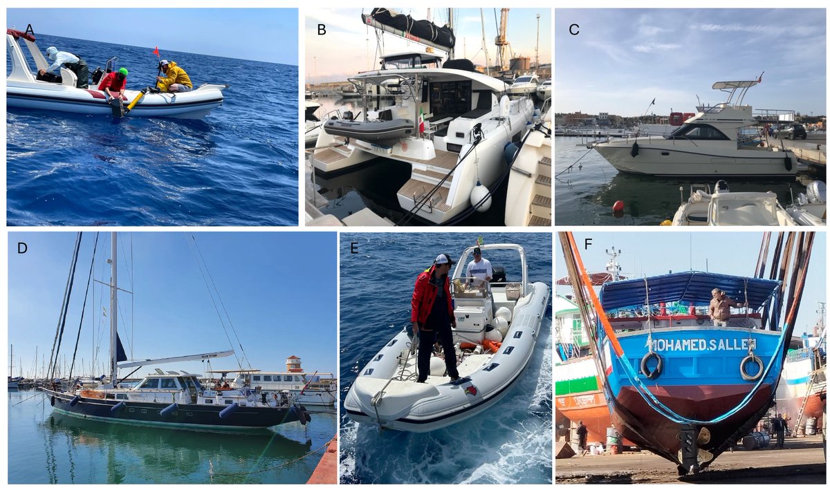 Just published: On the tracks of @WhiteSharks in the Mediterranean Sea bit.ly/wsc-vt <a href="/ExplorersClub/">The Explorers Club</a> <a href="/Discovery/">Discovery</a> @augmentum <a href="/sharkproject/">Sharkproject International</a> <a href="/Bertarelli_fdn/">Bertarelli Foundation</a>