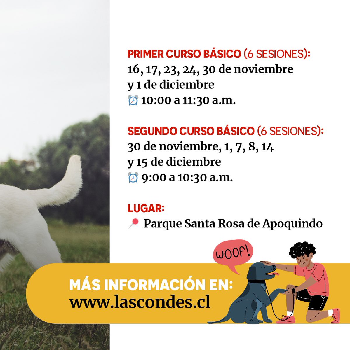 Curso Básico de Adiestramiento Canino 🐕

Mejora el comportamiento de tu perro con obediencia básica y caminata en calma 🐾. ¡Cupos limitados!

Más información sobre precios y requisitos para postular en el link lc.cx/ZhKUlt